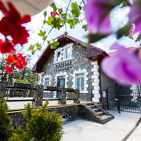 Royal Inn Busteni-Adults Only Bagian luar foto