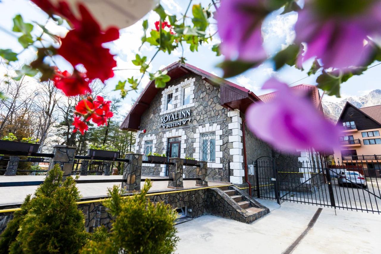 Royal Inn Busteni-Adults Only Bagian luar foto