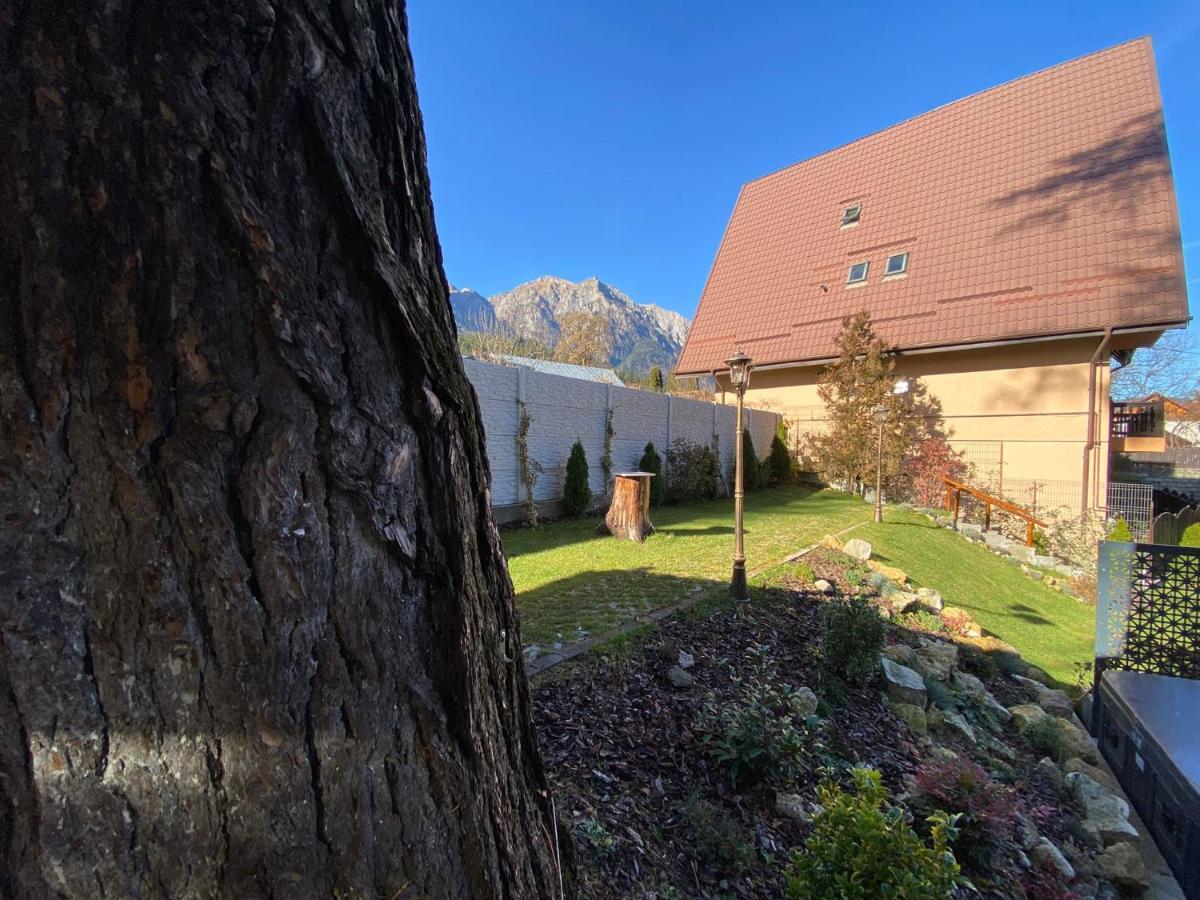 Royal Inn Busteni-Adults Only Bagian luar foto